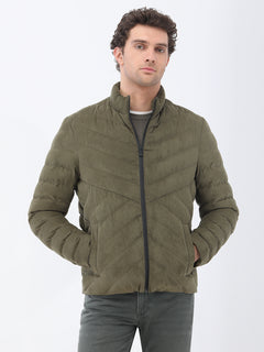 Açık Haki Regular Fit Dik Yaka Casual Dokuma Mont